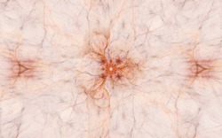 2014 04 30 Webs and Things 61-white.jpg